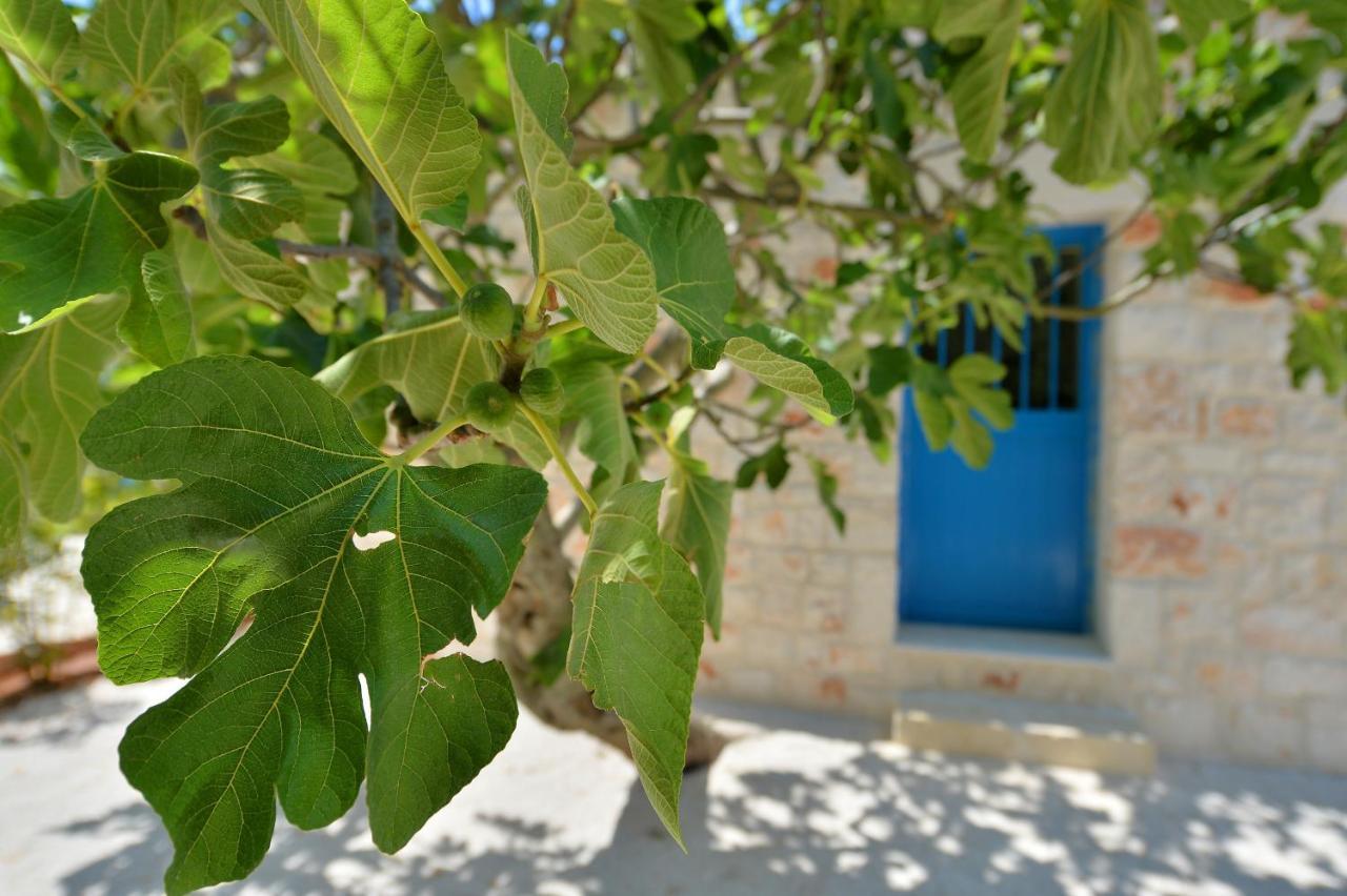 Masseria Oreglia Ferienhaus Ceglie Messapica